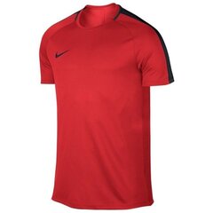 Sportiniai marškinėliai vyrams Nike Dry Academy 17 M 832967-696 цена и информация | Мужская спортивная одежда | pigu.lt