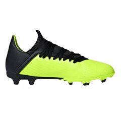 Futbolo bateliai Adidas X 18.3 FG Jr DB2418 (44988) цена и информация | Футбольные бутсы | pigu.lt