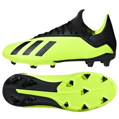 Futbolo bateliai Adidas X 18.3 FG Jr DB2418 (44988) цена и информация | Футбольные бутсы | pigu.lt