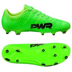 Футбольные бутсы Puma Evo Power 3 FG 103956 01 цена и информация | Футбольные бутсы | pigu.lt