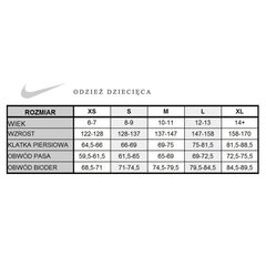 Спортивные шорты для мальчиков Nike Park II Junior 725988-815 цена и информация | Шорты для мальчиков | pigu.lt