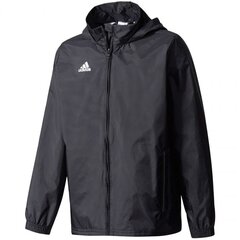 Спортивная куртка мужская Adidas M COREF RAI JR BR4120 цена и информация | Куртки для мальчиков | pigu.lt