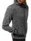 Vyriškas pilkas džemperis su gobtuvu "Lamar" kaina ir informacija | Vyriškos kelnės | pigu.lt