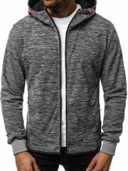 Vyriškas pilkas džemperis su gobtuvu "Lamar" цена и информация | Мужские брюки FINIS | pigu.lt