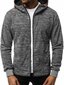 Vyriškas pilkas džemperis su gobtuvu "Lamar" kaina ir informacija | Vyriškos kelnės | pigu.lt
