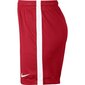 Sportiniai šortai vyrams Nike Dry Academy KM JR 832901 657, raudoni kaina ir informacija | Sportinė apranga vyrams | pigu.lt