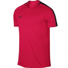 Мужская спортивная футболка Nike M Dry SS Academy M 832967 653 цена и информация | Мужская спортивная одежда | pigu.lt