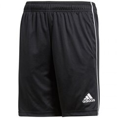 Шорты для мальчиков Adidas Core 18 TR Short JR CE9030 цена и информация | Шорты для мальчиков | pigu.lt