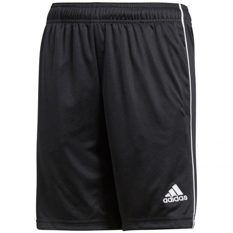 Šortai berniukams Adidas Core 18 TR Short JR CE9030 kaina ir informacija | Šortai berniukams | pigu.lt