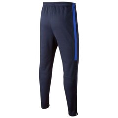 Sportinės kelnės vyrams Nike Y Therma Academy M AO0746 цена и информация | Мужская спортивная одежда | pigu.lt
