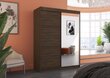 Spinta ADRK Furniture Jordi, ruda kaina ir informacija | Spintos | pigu.lt