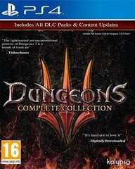 Dungeons 3 Complete Collection PS4 цена и информация | Компьютерные игры | pigu.lt