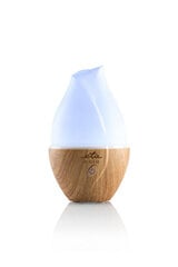 Увлажнитель ETA Aroma diffuser Aria ETA463490000 Ult цена и информация | Увлажнители воздуха | pigu.lt