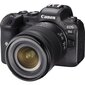 Canon EOS R6 + RF 24-105mm F4-7.1 IS STM + Mount Adapter EF-EOS R kaina ir informacija | Skaitmeniniai fotoaparatai | pigu.lt