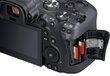 Canon EOS R6 + RF 24-105mm F4-7.1 IS STM + Mount Adapter EF-EOS R kaina ir informacija | Skaitmeniniai fotoaparatai | pigu.lt