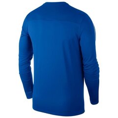 Nike vyriškas džemperis, mėlynas kaina ir informacija | Džemperiai vyrams | pigu.lt