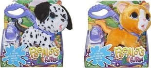 Interaktyvus gyvūnėlis su pavadėliu Hasbro FurReal Peealots kaina ir informacija | Minkšti (pliušiniai) žaislai | pigu.lt