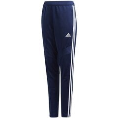 Sportinės kelnės vaikams Adidas Tiro 19 Training Junior DT5177, mėlynos (45748) kaina ir informacija | Kelnės berniukams | pigu.lt