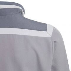 Džemperis berniukams Adidas Tiro 19 Presentation Junior, pilkas kaina ir informacija | Megztiniai, bluzonai, švarkai berniukams | pigu.lt