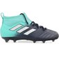 Futbolo bateliai Adidas Ace, mėlyni kaina ir informacija | Futbolo bateliai | pigu.lt