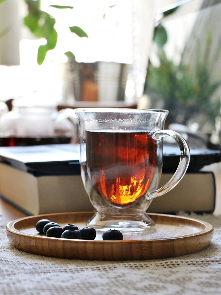 Dvigubo borosilikatinio stiklo arbatos puodelių komplektas, 2 vnt. kaina ir informacija | Taurės, puodeliai, ąsočiai | pigu.lt