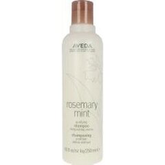 Plaukų šampūnas Aveda Rosemary Mint, 250 ml kaina ir informacija | Šampūnai | pigu.lt