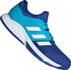 Кроссовки мужские Adidas Court Team Bounce M FU8320, синие цена и информация | Кроссовки для мужчин | pigu.lt