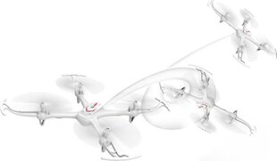 Syma X15A-WHT kaina ir informacija | Dronai | pigu.lt