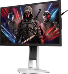 AOC AG251FZ2E kaina ir informacija | Monitoriai | pigu.lt