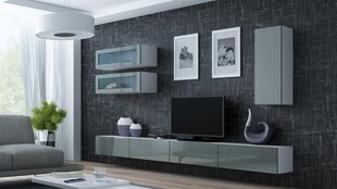 Витрина Cama Meble Vigo 90, белый/серый цена и информация | Cama Meble Мебель и домашний интерьер | pigu.lt