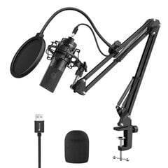 Studijinio mikrofono rinkinys Fifine K780A kaina ir informacija | Mikrofonai | pigu.lt