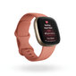 Fitbit Versa 3 Pink Clay/Soft Gold kaina ir informacija | Išmanieji laikrodžiai (smartwatch) | pigu.lt