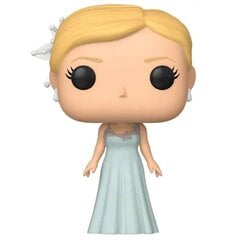 Funko POP! Harry Potter - Fleur Delacour Yule Ball kaina ir informacija | Žaidėjų atributika | pigu.lt