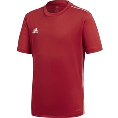 Спортивная рубашка для мальчиков adidas CORE 18 Junior CV3496 цена и информация | Рубашки для мальчиков | pigu.lt