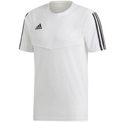 Sportiniai marškinėliai vyrams, Adidas Tiro 19 Tee M DT5414 balta kaina ir informacija | Sportinė apranga vyrams | pigu.lt