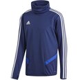 Džemperis moterims Adidas Tiro 19 Warm Top M DT5791, mėlynas