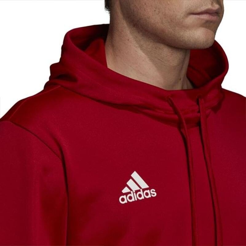 Džemperis vyrams Adidas Team 19 Hoody M DX7335, raudonas kaina ir informacija | Džemperiai vyrams | pigu.lt