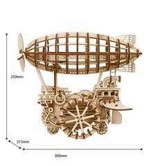 Robotime Air vehicle 3D пазл цена и информация | Конструкторы и кубики | pigu.lt