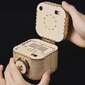 Robotime Treasure Box 3D galvosūkis, 123 vnt цена и информация | Konstruktoriai ir kaladėlės | pigu.lt