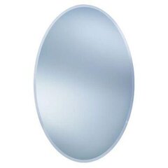 Зеркало Dubiel Vitrum Owal, серебро цена и информация | Зеркала | pigu.lt
