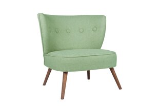 Кресло Artie Bienville, зеленое цена и информация | Кресла в гостиную | pigu.lt
