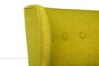 Fotelis Artie Bienville, šviesiai žalias kaina ir informacija | Svetainės foteliai | pigu.lt