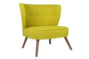 Кресло Artie Bienville, светло-зеленое цена и информация | Кресла в гостиную | pigu.lt