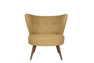 Кресло Artie Riverhead, коричневое цена и информация | Кресла в гостиную | pigu.lt