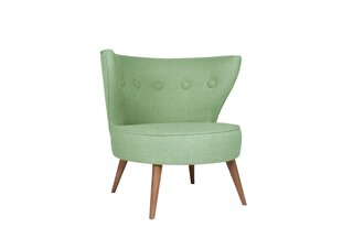 Кресло Artie Riverhead, зеленое цена и информация | Кресла в гостиную | pigu.lt