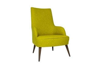 Кресло Artie Folly Island, зеленое цена и информация | Кресла в гостиную | pigu.lt