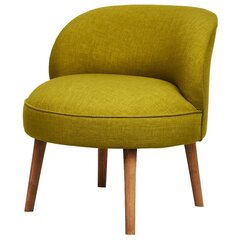 Кресло Artie Nice, светло-зеленое цена и информация | Кресла в гостиную | pigu.lt