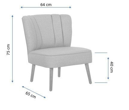 Fotelis Artie Monn Way, mėlynas kaina ir informacija | Svetainės foteliai | pigu.lt