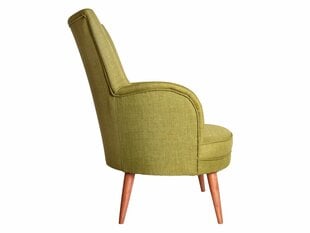 Кресло Artie Victoria, зеленое/коричневое цена и информация | Кресла в гостиную | pigu.lt