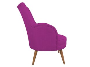 Fotelis Artie Victoria, violetinis kaina ir informacija | Svetainės foteliai | pigu.lt